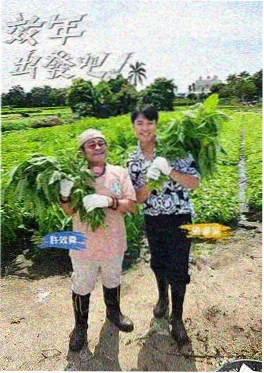 一路向野综艺在线观看